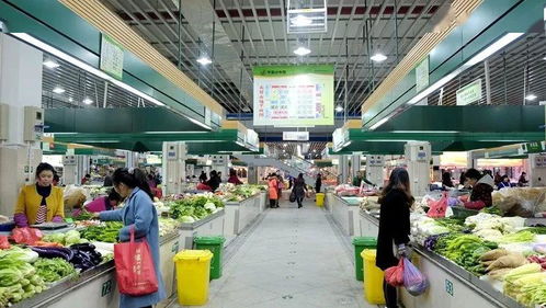 路橋食光 共享美味，打造農產品批發新生態